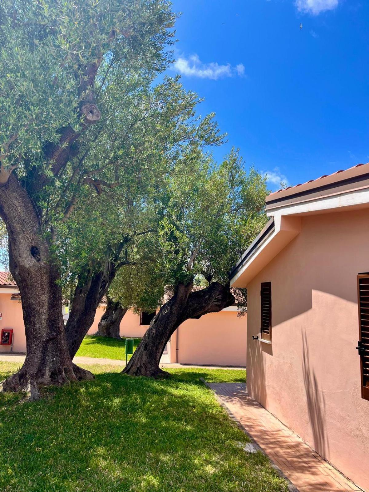 Resort Cilento Dreams Village