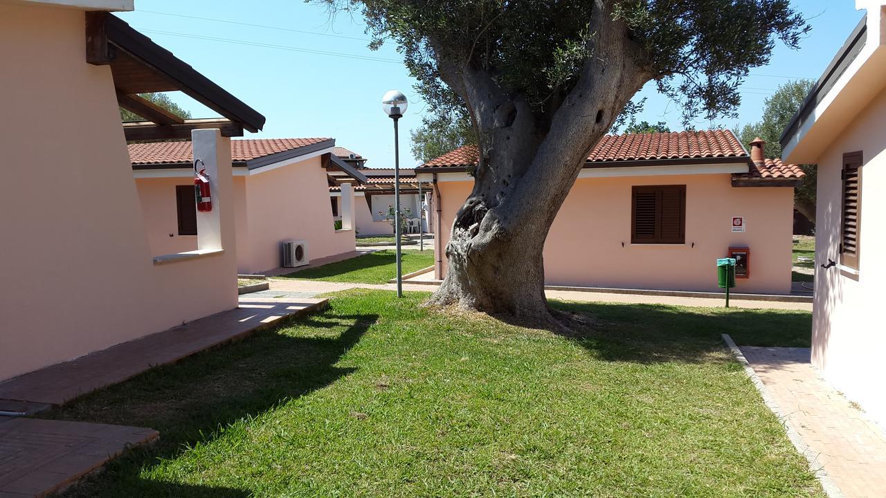Cilento Dreams Village * Marina di Camerota